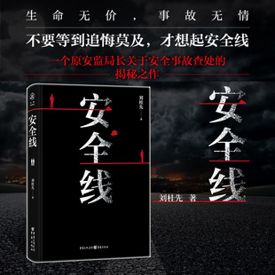 当当网 安全线 刘桂先 一位原安监局长关于安全事故查处的揭秘之作 悬疑应急管理官场反腐小说社会话题小说 安全生产监管文学小说