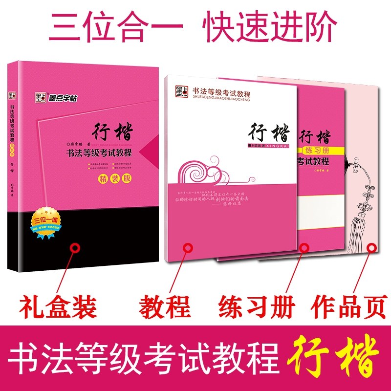 墨点字帖书法等级考试教程精装版 行楷 硬笔书法钢笔字帖
