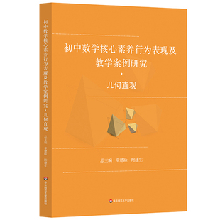 初中数学核心素养行为表现及教学案例研究 几何直观