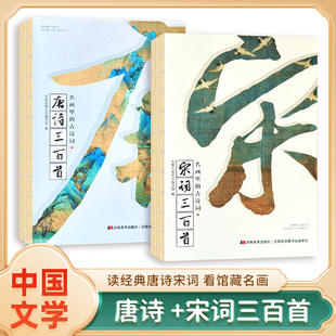 名画里的古诗词 全套2册 唐诗三百首 宋词三百首 中华传统文化读本 背古诗 看馆藏名画诗情画意 儿童经典国学文学 意象学习法