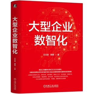 大型企业数智化