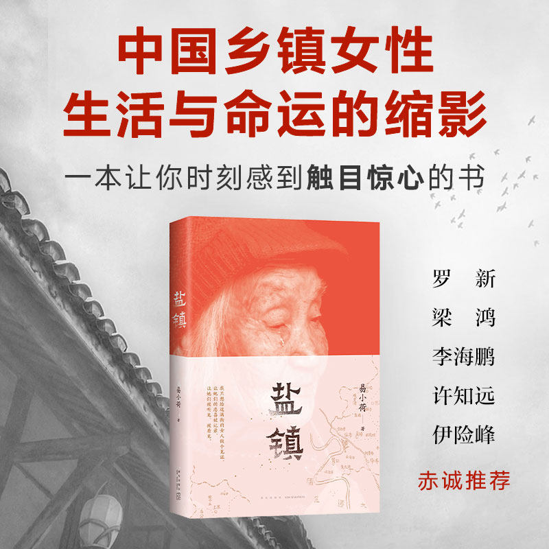 【当当网 正版书籍】 盐镇 易小荷著 深度书写中国乡镇女性的生活与命运的佳作怎么看?