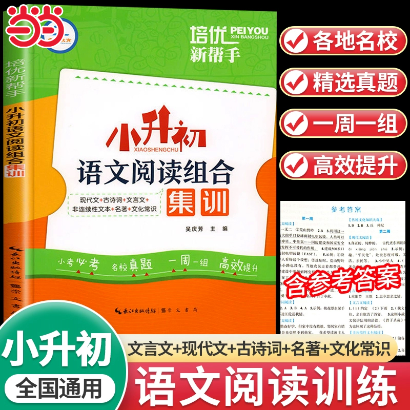 小升初阅读理解专项训练语文阅读组合集训人教版六年级下册阅读强化训练书小学升初中文言文现代文古诗词课外阅读真题总复习必刷题