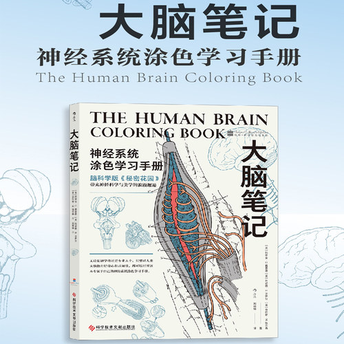 神经科学与美学的浪漫邂逅