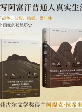 土地与尘埃坚韧之石阿富汗