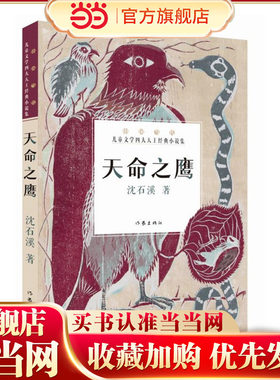天命之鹰