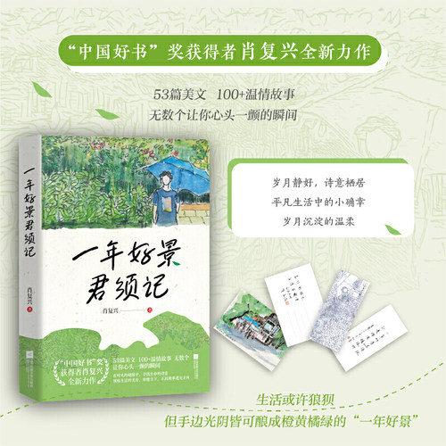 当当网【赠高考祝福贺卡+书签】一年好景君须记 中国好书奖获得者肖复兴全新力作 用文字给人生存档 现代文学小说散文随笔正版书籍