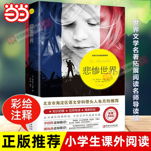 悲惨世界中小学课外书文学名著