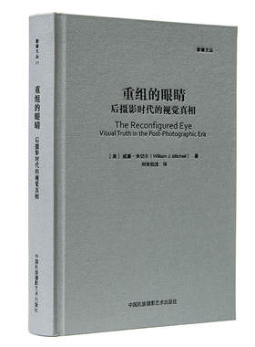 重组的眼睛