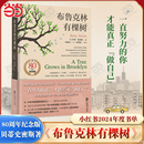 绿山墙 布鲁克林有棵树 网 当当网 安妮 外国文小说世界名著正版 与小王子 蕞佳青少年读物 贝蒂史密斯著 夏洛 并列 哈利·波特