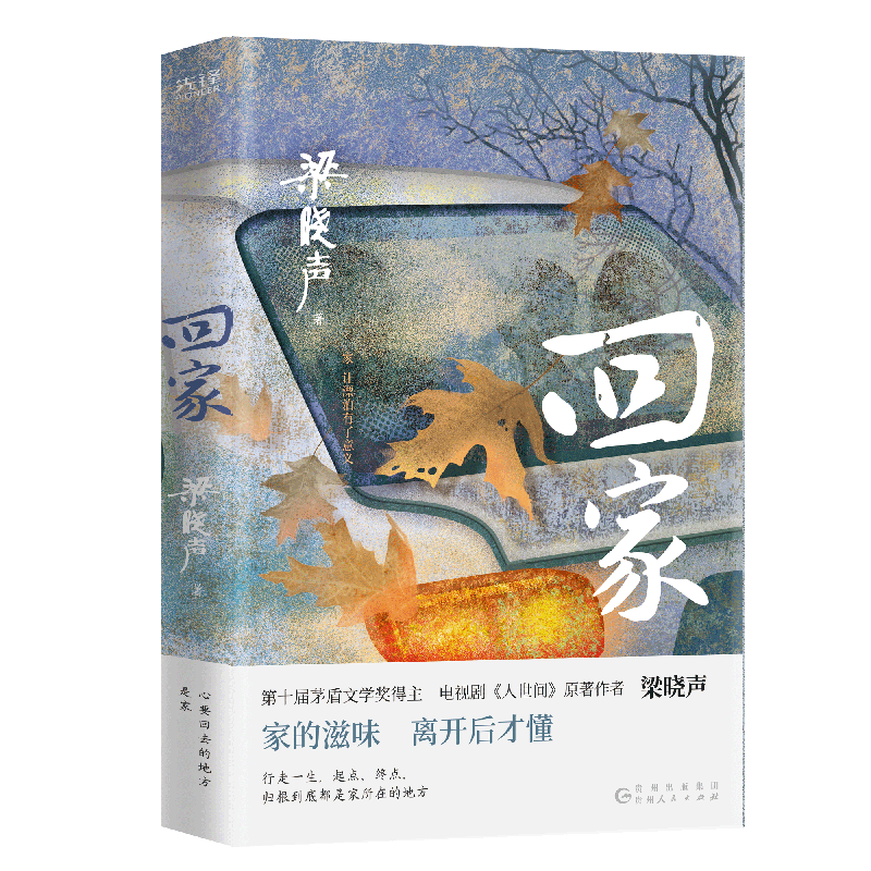 当当网 回家 第十届茅盾文学奖得主梁晓声著 电视剧人世间原著 入选小说月报中篇小说选刊中华文学选刊 聚焦大时代中的平凡小人物
