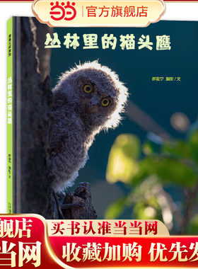 丛林里的猫头鹰 带你走进用*眼看不到的鸟类世界