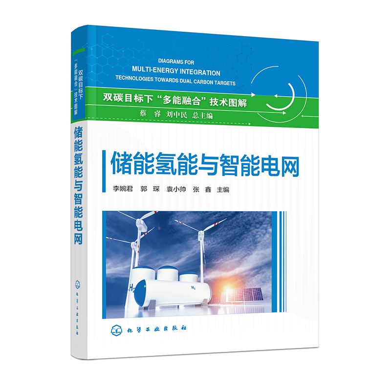 双碳目标下多能融合技术图解 储能氢能与智能电网 大规模可再生能源消纳 化石能源高效利用 构建低碳化智能化多能融合体系相关书籍