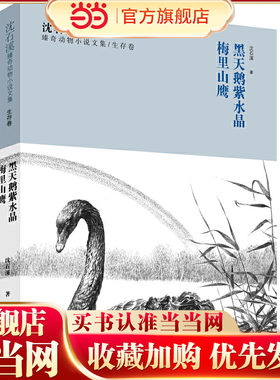 沈石溪臻奇动物小说文集生存卷 黑天鹅紫水晶 梅里山鹰