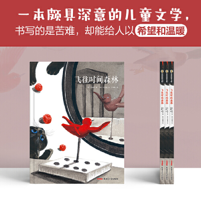 飞往时间森林 一本探讨人生与苦难的儿童文学，它让我们明白，人生总是徘徊在幸福和痛苦之间，永远不会有永恒的幸福，也永远不会