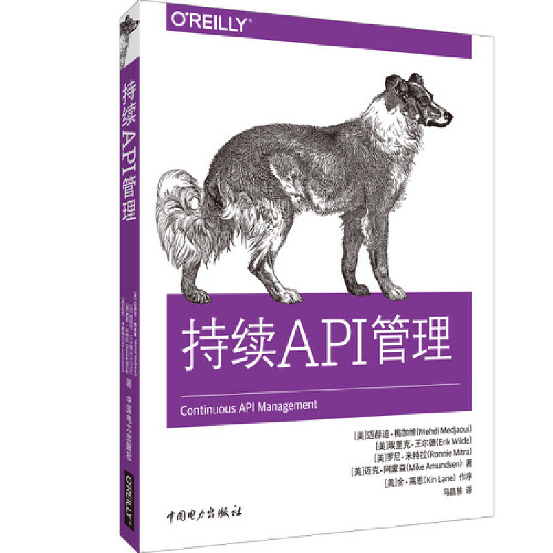 当当网 持续API管理 中国电力出版社 正版书籍