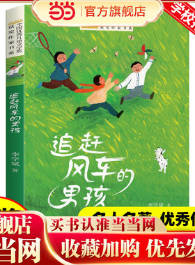 当当网 追赶风车的男孩 全国优秀儿童文学奖获奖作家书系列小学生课外阅读荐寒暑假经典三四五六年级读物中小学生必读正版书