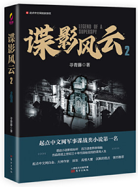 谍影风云 2