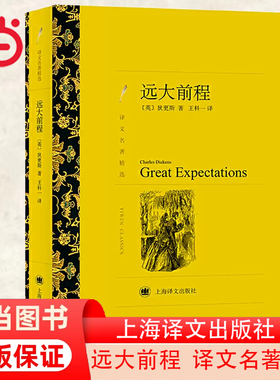 当当网 远大前程（译文名著精选，狄更斯作品，又译作孤星血泪） 狄更斯 上海译文出版社 正版书籍