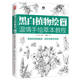 黑白植物绘136例 零基础植物教程绘画入门赠教学视频 温情手绘草本教程