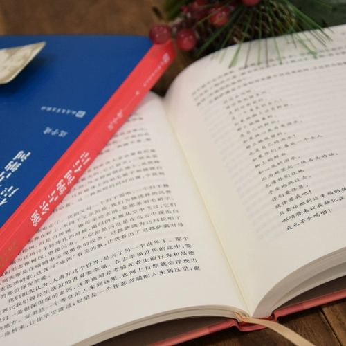 Dangdang Подличная книга реки Эрга на правом берегу Чи Зи Цзяньцзян Цзяньцзянская коллекция выбрана седьмой наградам на премию «Мао -Дун».