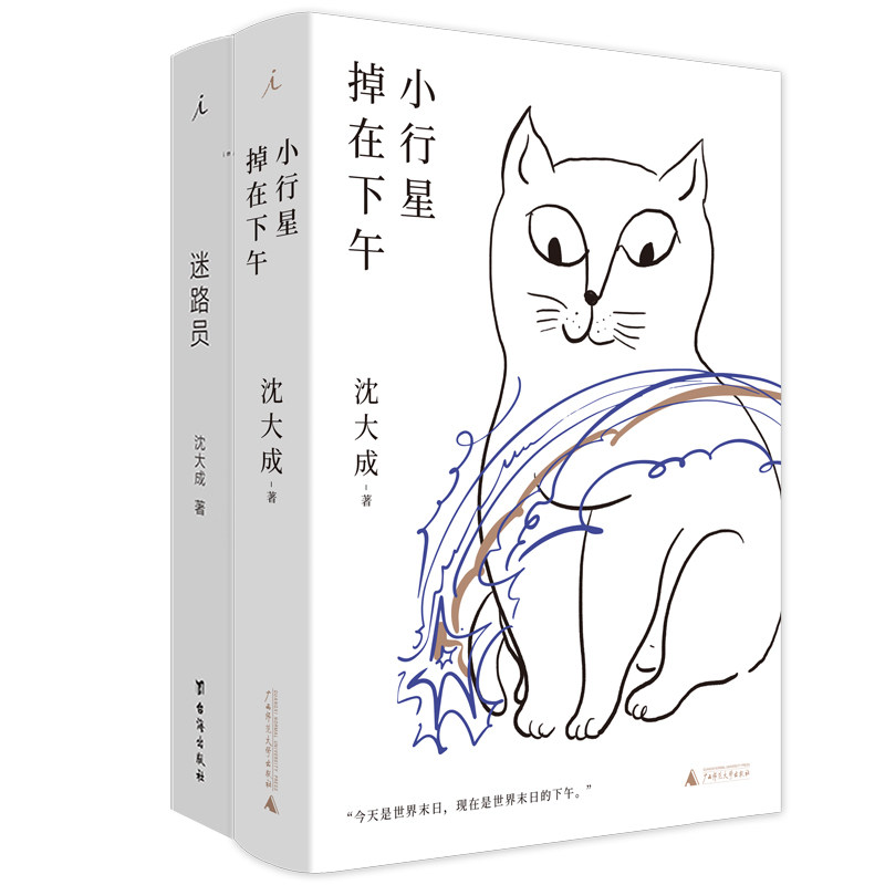 当当网 沈大成作品（套装共2册）：迷路员+小行星掉在下午 沈大成 著 青年作家 现当代文学短篇小说书 宝珀理想国文学奖 正版书籍