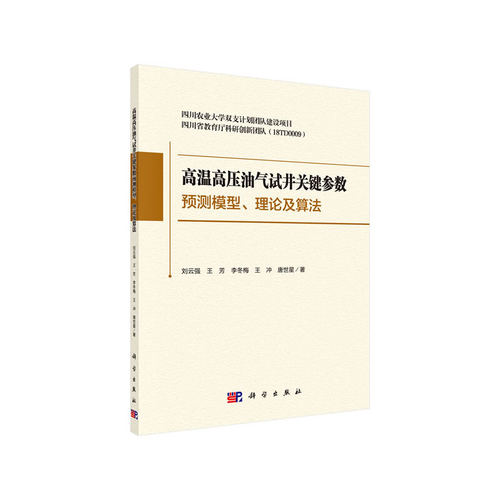 【当当网 正版书籍】高温高压油气试井关键参数预测模型、理论及算法 科学出版社