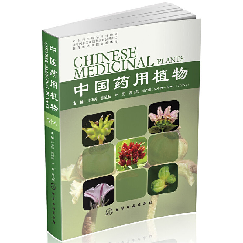 当当网 中国药用植物（二十八） 叶华谷 化学工业出版社 正版书籍
