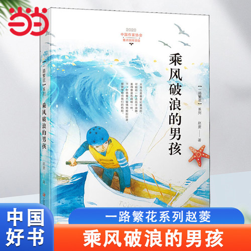 乘风破浪的男孩中国好书
