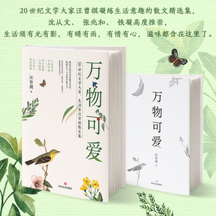 当当网 万物可爱 丰子恺写给孩子的散文丰子恺给孩子的心灵教育给孩子触及心灵的教育和美的蕴藉 代文学散文随笔小说故事书籍正版