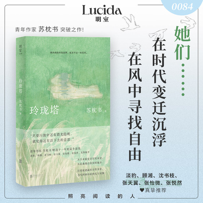 玲珑塔（苏枕书暌违11年短篇小说集，捕捉时代变迁中的个人沉浮，深描知识女性的精神探索与生活图景）