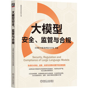 大模型安全、监管与合规 王贤智 叶娟 陈梦园 刘子旭 等