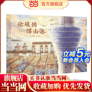 忙碌 洋山港 大國重器 了不起