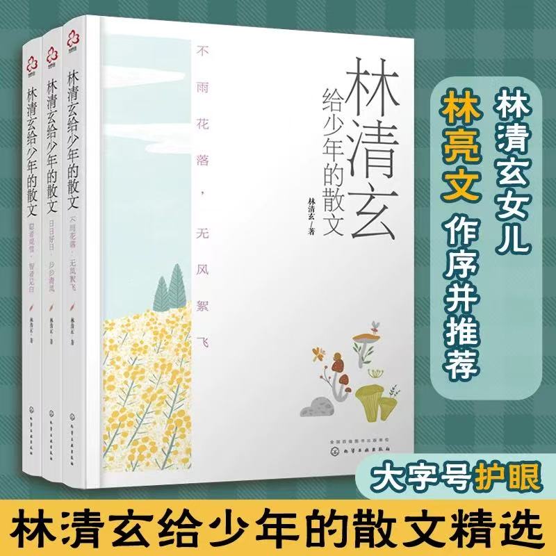全3册 林清玄给少年的散文 大字版畅销书作家经典书籍作品10-15-18岁青少年中小学生课外阅读当代文学中高考语文提高畅销图书
