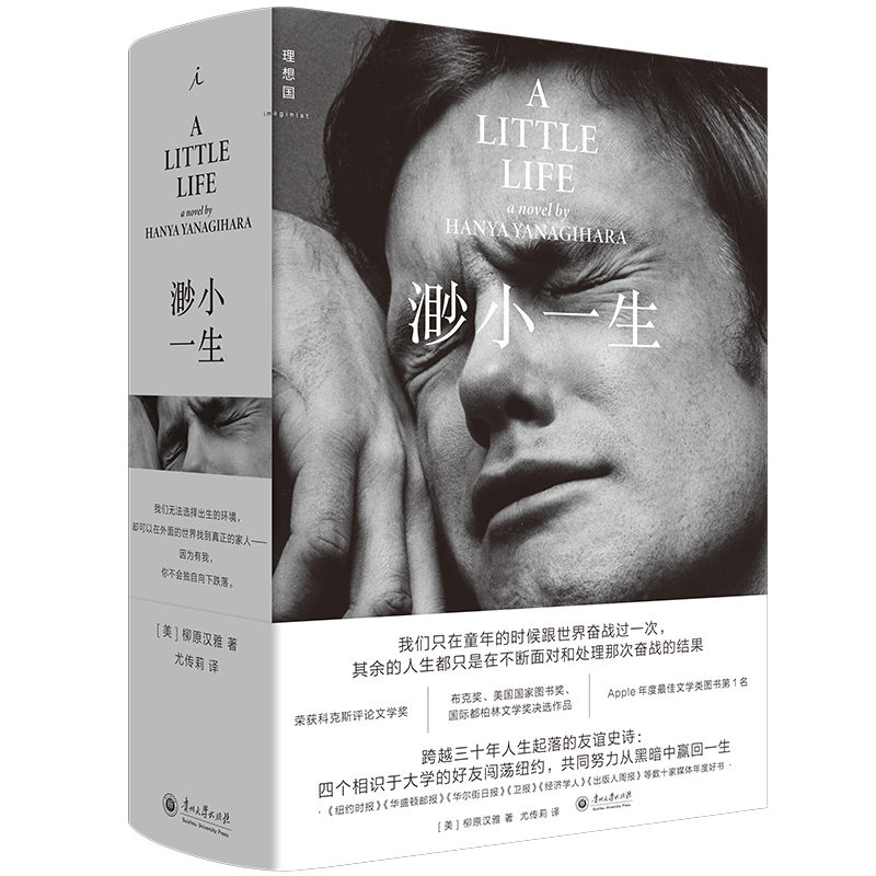 当当网 渺小一生（2025版）柳原汉雅 Apple年度文学类第1名四个好友三十年人生起落的友谊史诗 后现代大都市成人生活的种种新可能