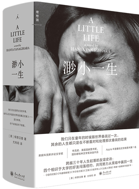 当当网 渺小一生（2025版）柳原汉雅 Apple年度文学类第1名四个好友三十年人生起落的友谊史诗 后现代大都市成人生活的种种新可能