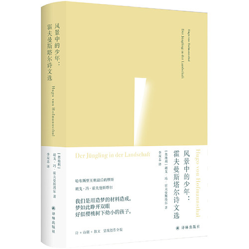 风景中的少年：霍夫曼斯塔尔诗文选（俄耳甫斯诗译丛）