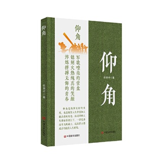 当当网 仰角 长篇小说 徐贵祥 中国言实出版社 徐贵祥 中国言实出版社 正版书籍