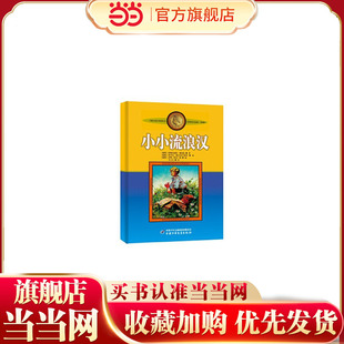 新版林格伦作品选集·美绘版—— 小小流浪汉