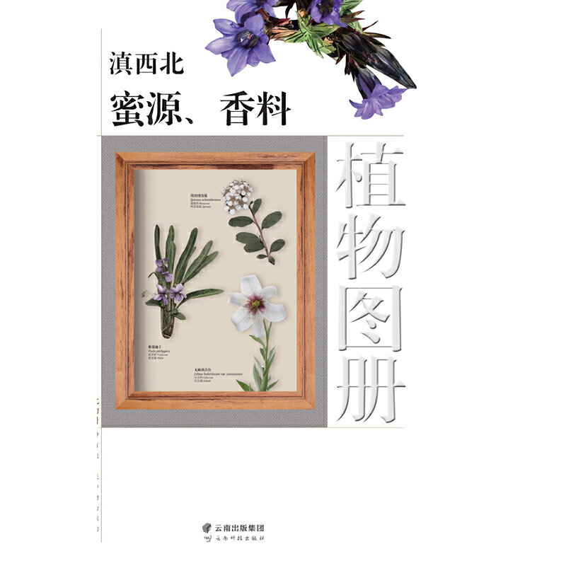 滇西北蜜源、香料植物图册