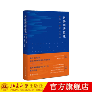 【当当网】网络刑法原理（网络刑法体系教科书 陈兴良、梁根林、陈国庆、周加海专业）  网络刑法体系 北京大学出版社 正版书籍