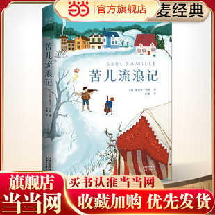 苦儿流浪记（世界儿童文学经典，未删节全译本）