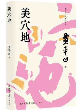 贾平凹小说精读书系：美穴地