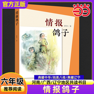 当当正版少年满山系列情报鸽子薛涛2025年秋河南典耀中华辽宁广西阅美八桂小学生六年级共读书目老师推荐课外必读书青岛出版社