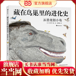 藏在鸟巢里的进化史:从恐龙到小鸟(还原从恐龙到鸟类的进化史,点燃孩子对生命科学的好奇心)