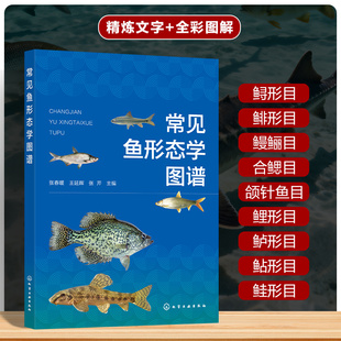 常见鱼形态学图谱 洛阳地区鱼类图鉴 基本特征与生活习性 分布情况与繁殖特点 鱼类分类与鉴定指南 水产科学工具书 渔业科研参考书