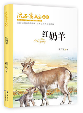 沈石溪画本（新版）·红奶羊 本书讲述了一个羊与狼的故事