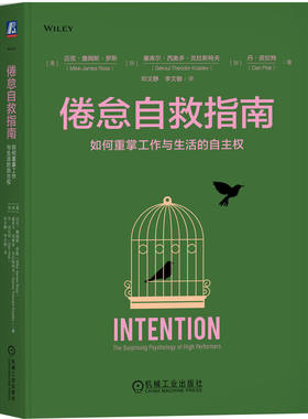 倦怠自救指南：如何重掌工作与生活的自主权      [美]迈克·詹姆斯·罗斯      [加]塞库尔·西奥多·克拉     [加]丹·皮拉特