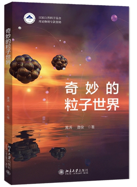 奇妙的粒子世界黄涛著