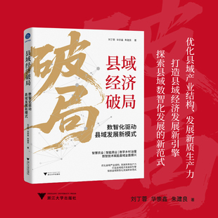 县域经济破局 数智化驱动县域发展新模式（深入剖析县域经济核心要素，探讨县域经济数智化发展关键问题）